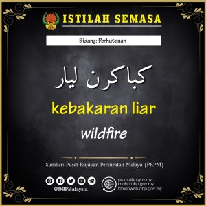 kebakaran liar 17092020