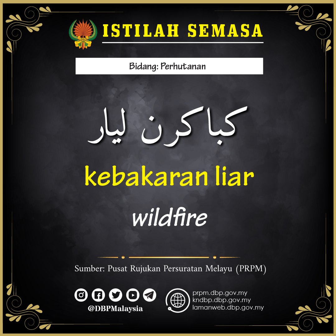 kebakaran liar 17092020