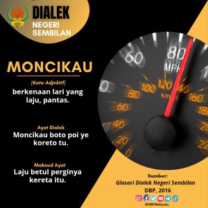 moncikau 05062021