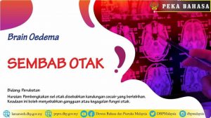 sembab otak