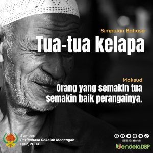 tua tua kelapa 11821