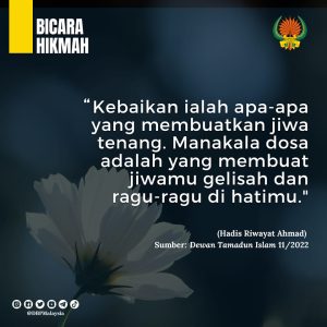 11 nov