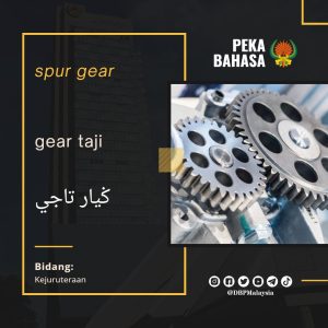 12 gear taji