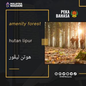 14. hutan lipur