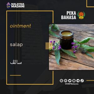 19. salap