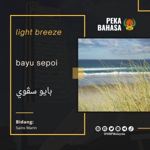 7 bayu sepoi