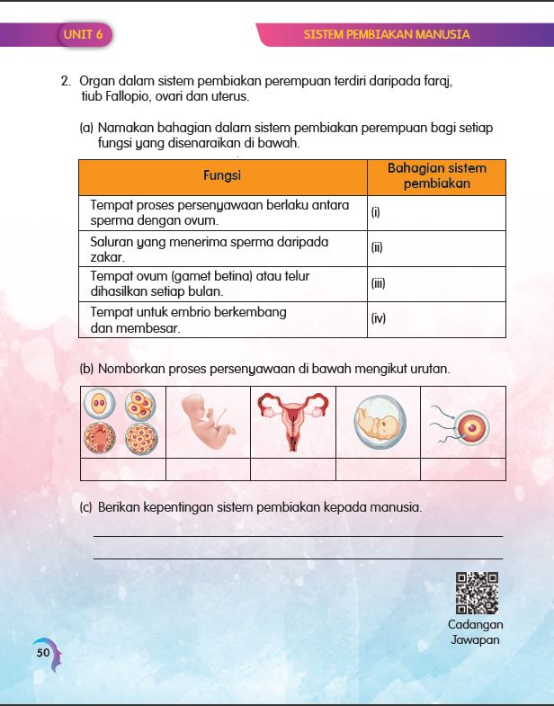 SIRI MUDAHNYA BELAJAR SAINS: DUNIA MANUSIA - Image 8
