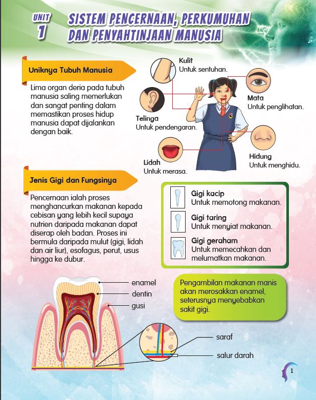 SIRI MUDAHNYA BELAJAR SAINS: DUNIA MANUSIA - Image 4