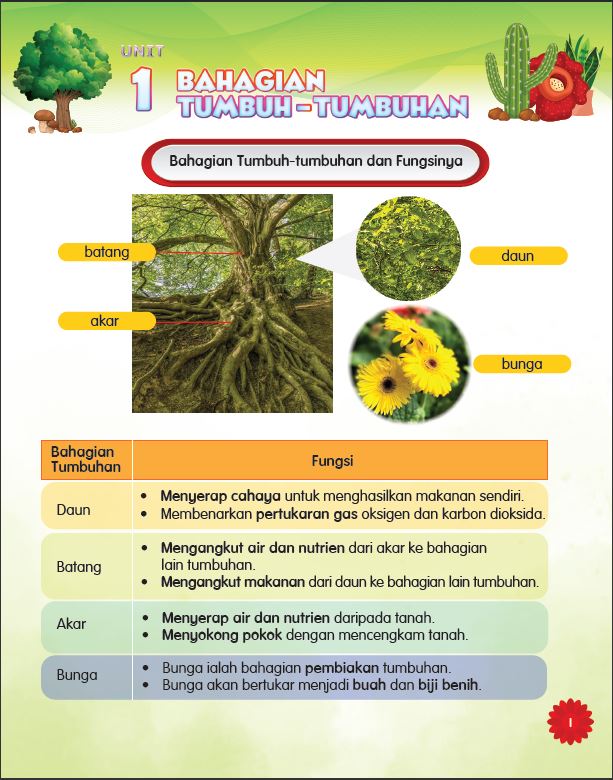 SIRI MUDAHNYA BELAJAR SAINS: DUNIA TUMBUHAN - Image 4