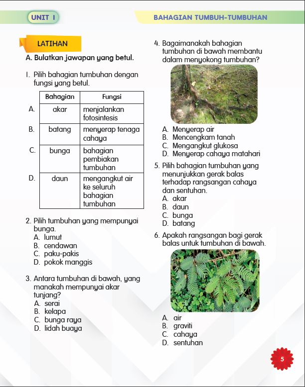 SIRI MUDAHNYA BELAJAR SAINS: DUNIA TUMBUHAN - Image 5