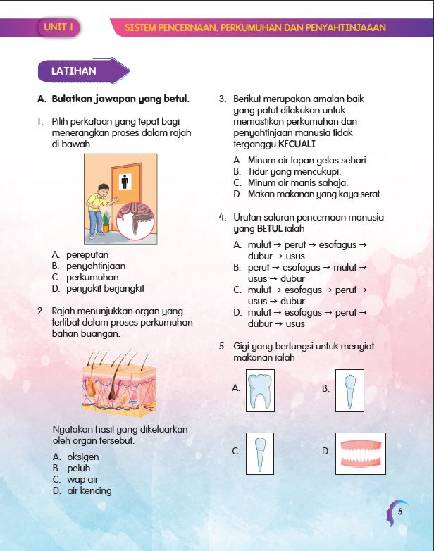 SIRI MUDAHNYA BELAJAR SAINS: DUNIA MANUSIA - Image 5