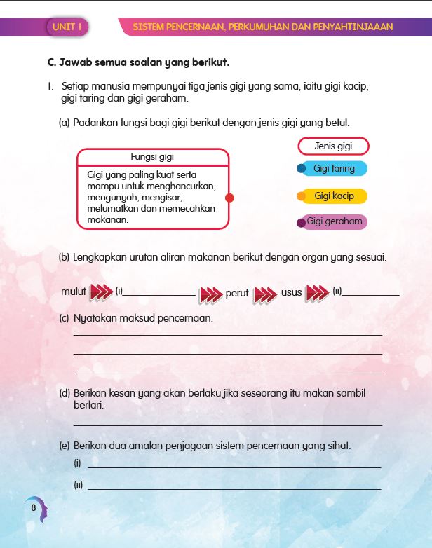 SIRI MUDAHNYA BELAJAR SAINS: DUNIA MANUSIA - Image 7