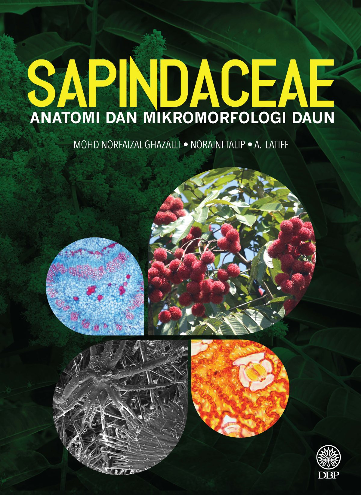 SAPINDACEAE: ANATOMI DAN MIKROMORFOLOGI DAUN