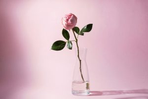 maria lupan n6b3s80qHO0 unsplash